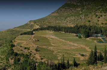 The fields of IXSIR winery, where Lebanese wine is produced.