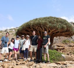 Socotra