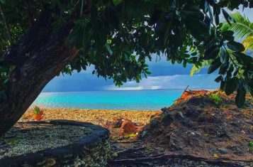 Peering at the Tuvalu coast