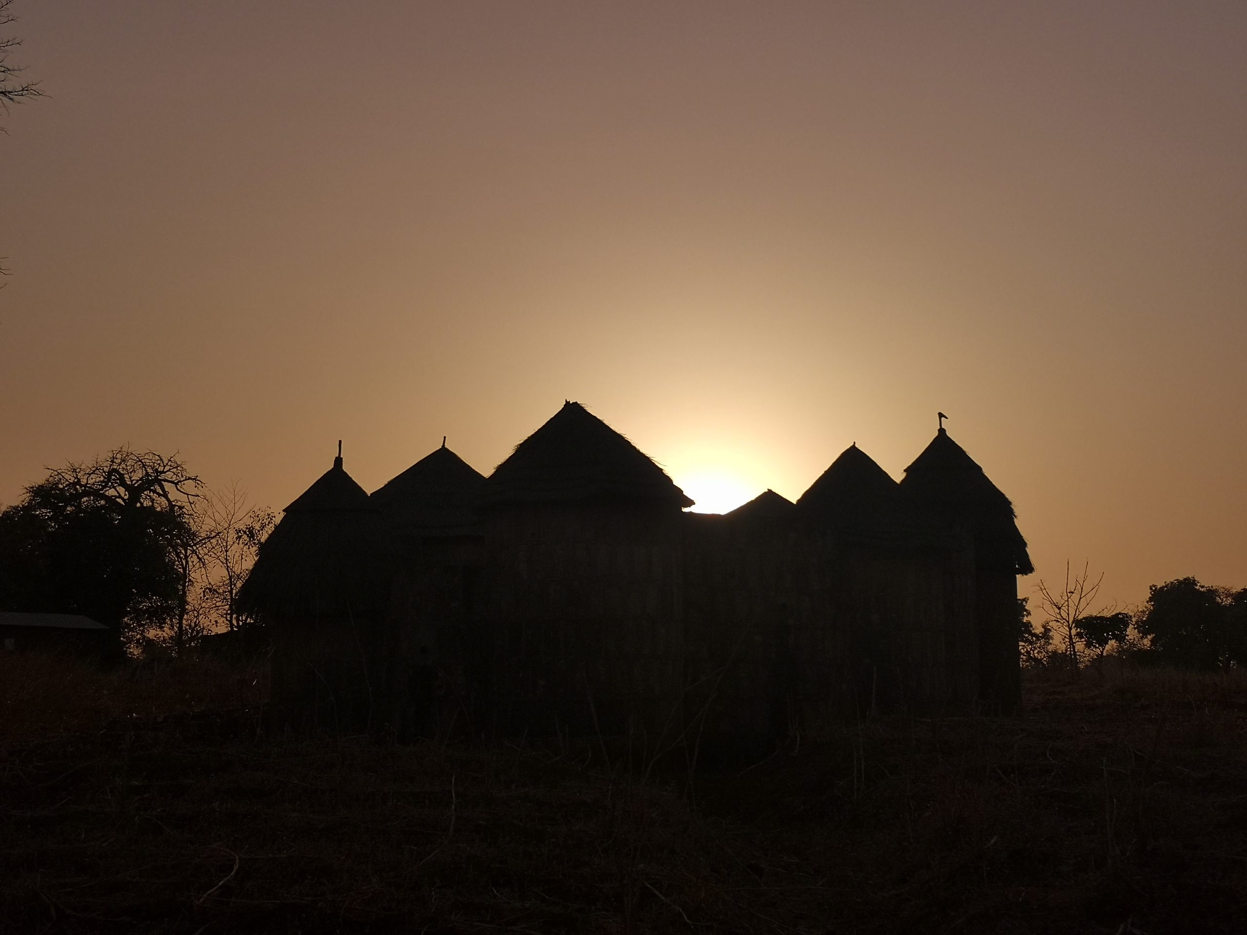 Traditional Tata-somba houses