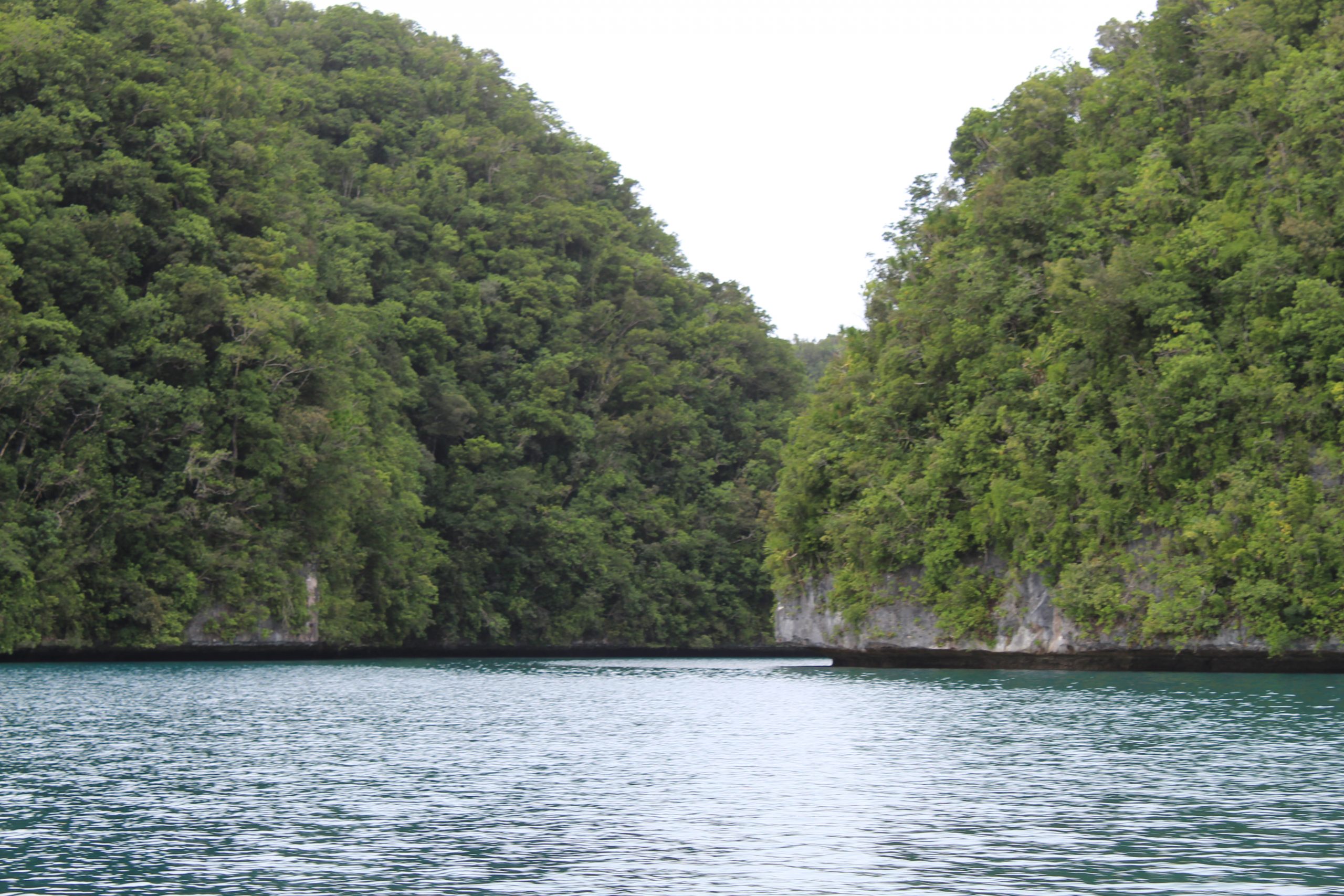 The waters of Palau as seen while travelling in Palau