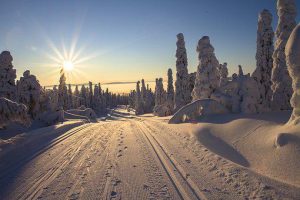 Aimo Koivunen - The Crystal Meth Hero — Young Pioneer Tours