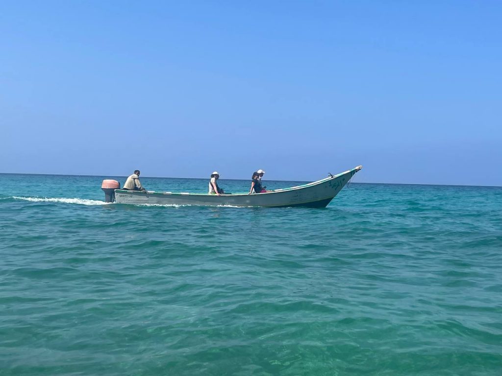 Guide to Delisha Beach Socotra — Young Pioneer Tours