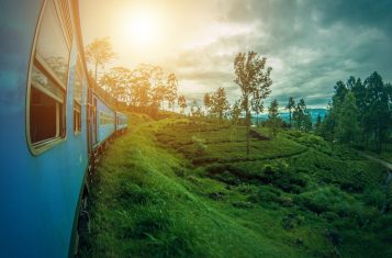 Sri Lanka Tours