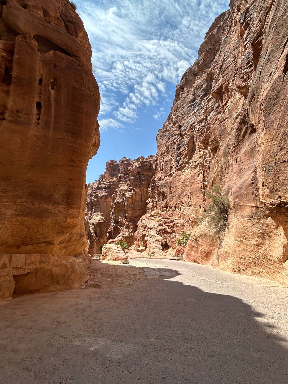 Empty Petra