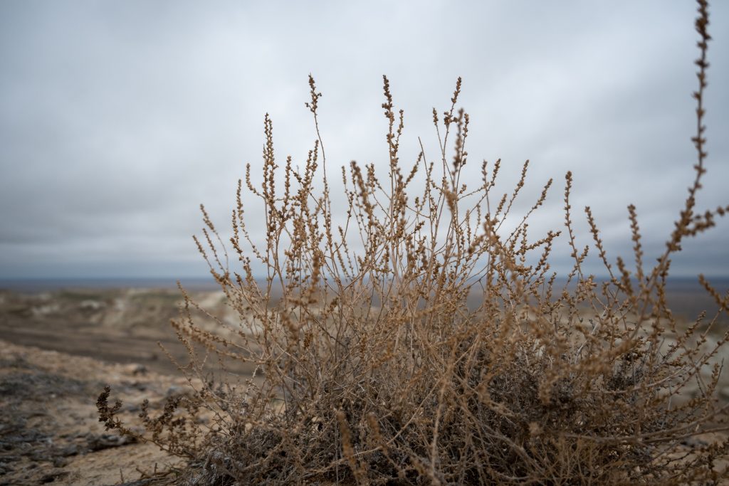 Remains of the Aral Sea, Uzbekistan Packing List.