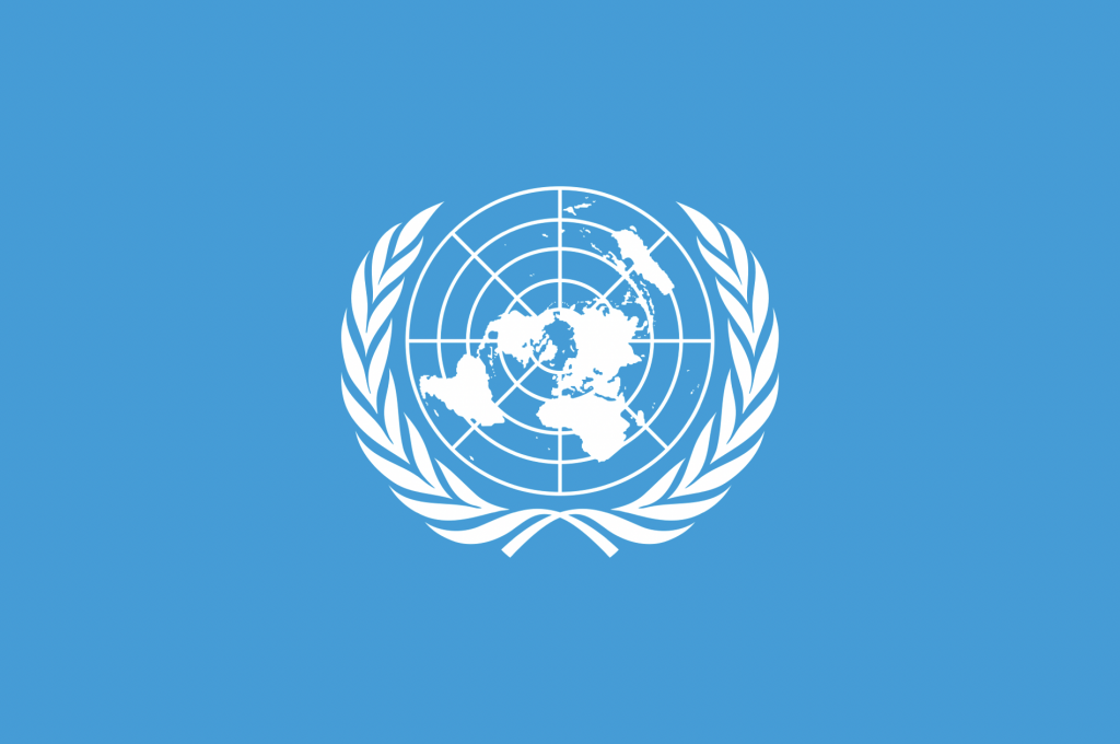 The UN Flag.