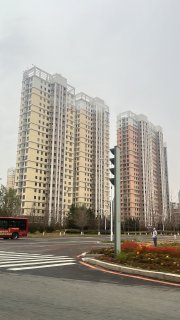 Dandong New