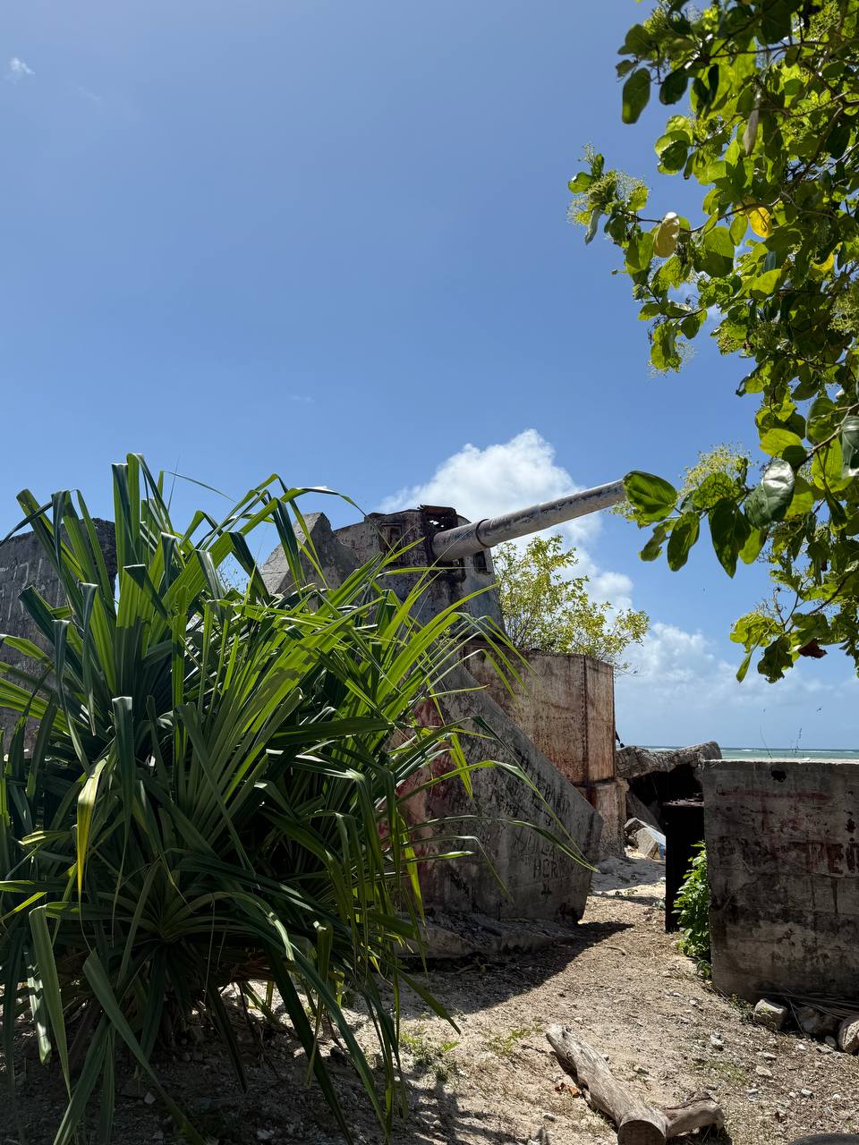 Tarawa War Tour 