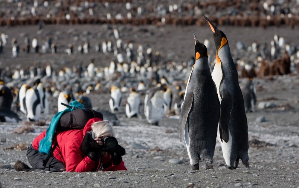 South Georgia tours cruises YPT