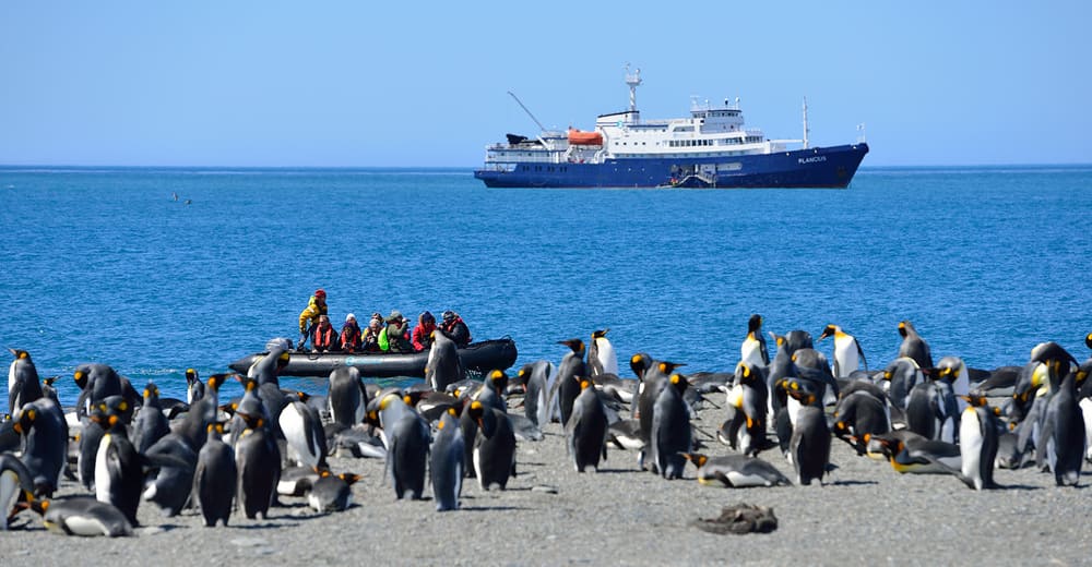 South Georgia tours cruises YPT