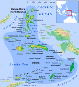 Maluku Islands