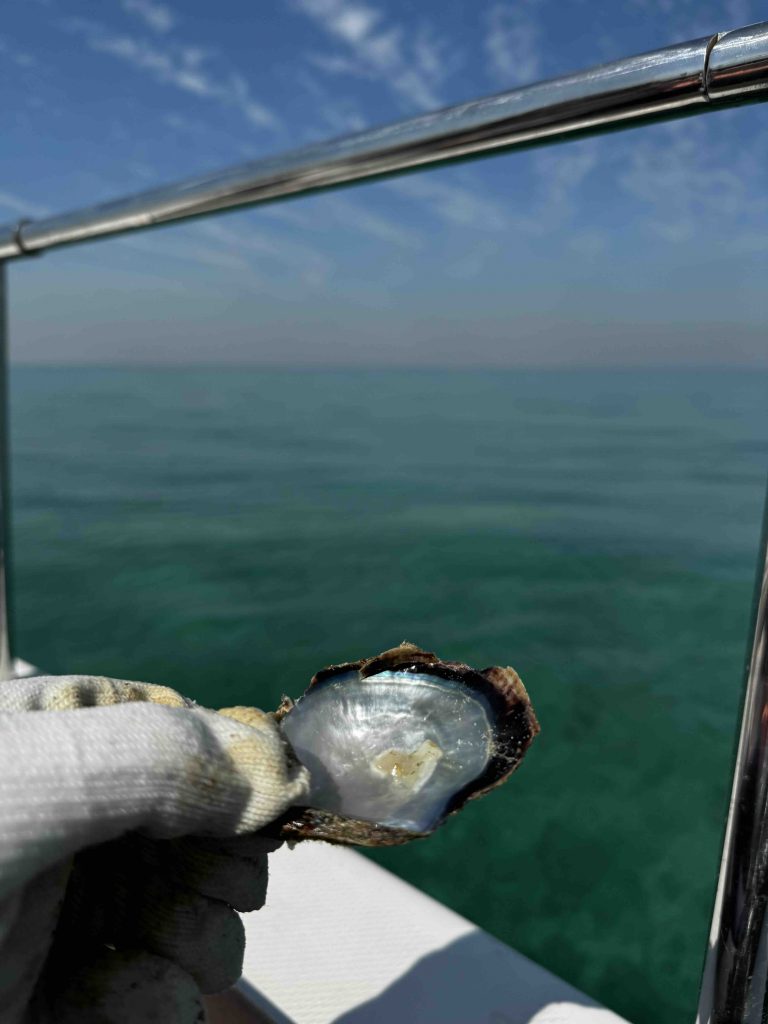 pearl diving in Bahrain